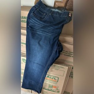 Lane Bryant Jeans - Size 24L